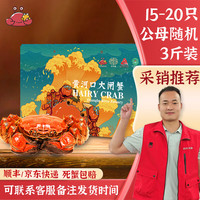 【活蟹】 山东黄河口大闸蟹  鲜活螃蟹  东营特产 礼盒 3斤装15-20只公母（网兜蟹）