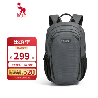 爱华仕 户外旅行双肩背包女生轻盈透气书包防泼水休闲运动包 灰色 17.6L