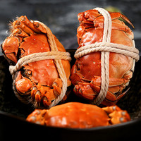 【活蟹】俏苏阁大闸蟹鲜活螃蟹去绳足重礼盒装全母2.8-3.1两8只