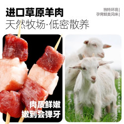 大希地 空气炸锅 羊肉串  包装 240g