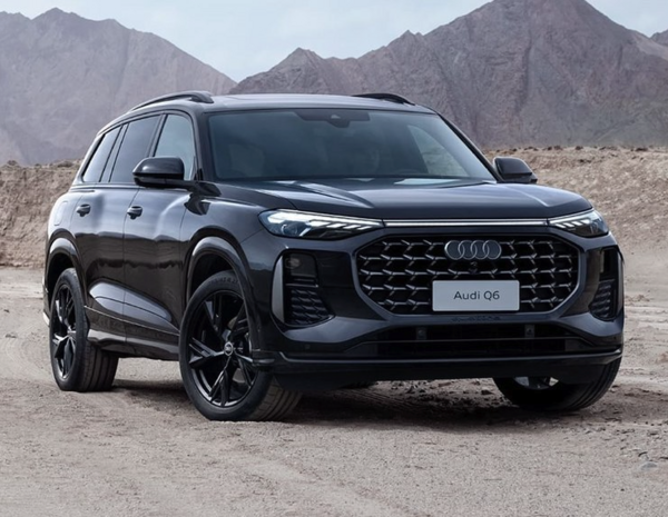 Audi 上汽奥迪 奥迪Q6