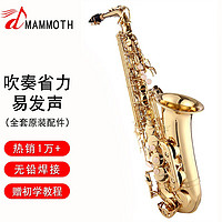 MAMMUT 猛犸象 萨克斯风降E调中音萨克斯乐器初学者入门演奏考级SAX A60