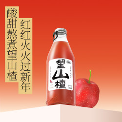 HOPE WATER 好望水 望山楂 好望水 山楂汁气泡水300ml*6瓶