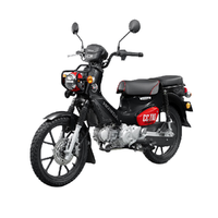 HONDA 新大洲本田 幼兽cc110 复古弯梁摩托车 CROSS CUB 熊本熊