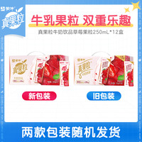 真果粒 TrueFruit 真果粒 牛奶饮品 草莓味 苗条装 含乳饮料 礼盒装 250g*12盒*2箱