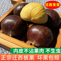 京觅 河北迁西生新鲜板栗净重3斤大粒(一元硬币大小)源头直发 包