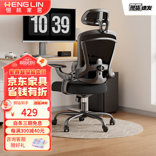 恒林家居 HENGLIN家居 逆袭者人体工学椅家用电脑椅分区撑腰护脊舒适久办公转椅HLC-3789 黑色