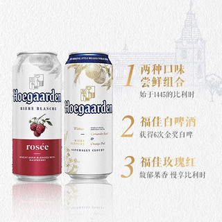 移动端、京东百亿补贴：Hoegaarden 福佳 比利时风味精酿啤酒 310ml*6白+310ml*6红 组合装