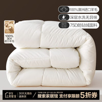 百丽丝 澳洲羊毛被100%纯羊毛被子被芯保暖抗菌冬被春秋被 【100%澳毛】春秋被(约3-6斤) 单人被1.2/1.5米(被芯150*210cm)