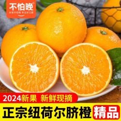 不怕晚 精品正宗新鲜云南纽荷尔脐橙当季现摘水果手剥酸甜橙子彩箱5斤