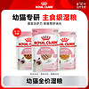 ROYAL CANIN 皇家 猫粮幼年期全价猫粮湿粮0.085KG试吃装