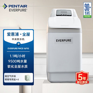 EVERPURE 爱惠浦 商用厨房中央过滤 自来水软化水质净水器 1.1吨/小时 9500吨制水量 软水机PWCE16F10