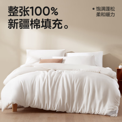YANXUAN 网易严选 100%天然新疆加厚棉花被  2*2.3m 4000g