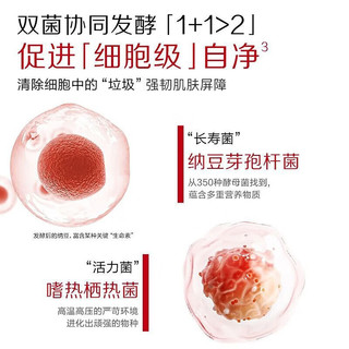 KANS 韩束 胶原紧致舒护精粹面霜 50g