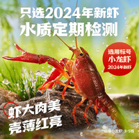 【冷链】海底捞蒜蓉小龙虾加热即食整虾非虾尾生鲜熟虾1.5kg