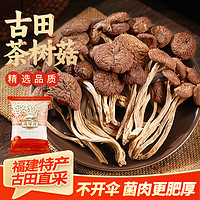 湾琴河 茶树菇100g 古田福建特产 茶树蘑菇 煲汤炒菜火锅食材