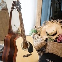 CORT 考特 AD850S 民谣木吉他（41英寸，哑光原木色）