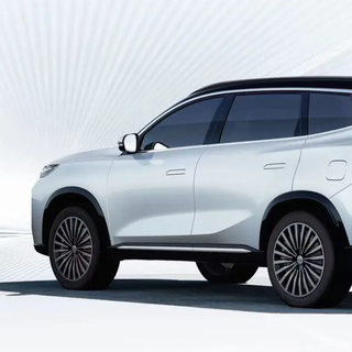 CHERY 奇瑞 瑞虎8 25款 卓越版 230TCI 双离合豪华版 7座