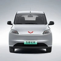 SGMW 上汽通用五菱 五菱宏光新能源 24款 纯电版 300km 实用型 5座