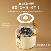 康宁养生壶多功能家用保温小型办公室养生杯煮茶器煮茶壶