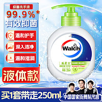 Walch 威露士 健康抑菌洗手液 250ml 青柠