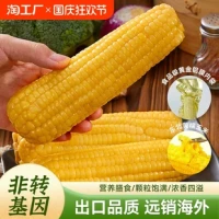 铝箔包装糯玉米 220g*8棒