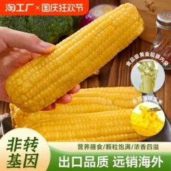 铝箔包装糯玉米 220g*8棒