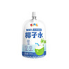 朴正宫 100%椰子水 一袋装 100ml