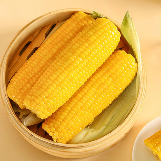 一支鲜 东北黄糯玉米 真空包装 1800g/箱 10支