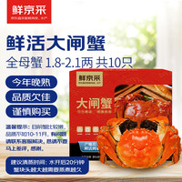 【活蟹】鲜京采鲜活大闸蟹 全母蟹1.8两 5对10只 去绳足重 死蟹包赔 螃蟹生鲜礼盒