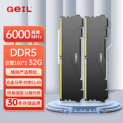 GeIL 金邦 32G（16G*2） DDR5-6000 台式机电脑内存条 巨蟹马甲系列黑色