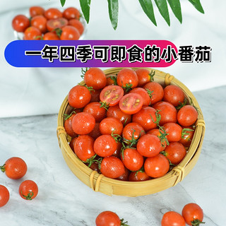 云南源头千禧小番茄圣女果小西红柿5斤农家种植水果蔬菜即食