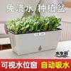 阳台种菜盆自动吸水花盆长方形长条塑料花盆种植箱大号懒人盆