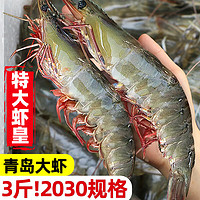 鲜驰 国产青岛大号白虾 1.5kg