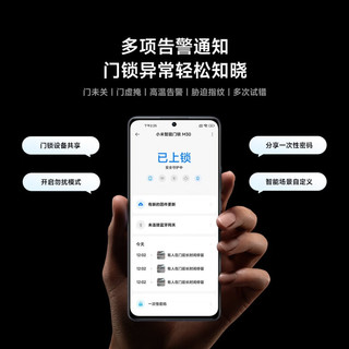 Xiaomi 小米 M30 XMZNMS1系列 双摄智能门锁
