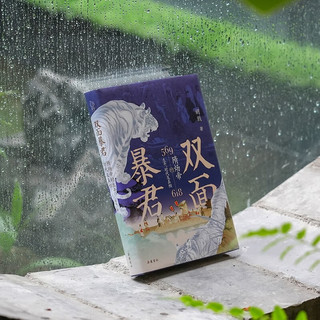 双面暴君：隋炀帝的生平时代及真相