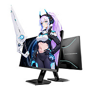 ThundeRobot 雷神 ZQ27F300L 27英寸 IPS G-sync FreeSync 显示器（2560×1440、300Hz、99% sRGB、HDR10）