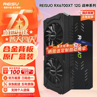  REISUO/雷索 高性能 独立显卡 全覆盖背板  12GB