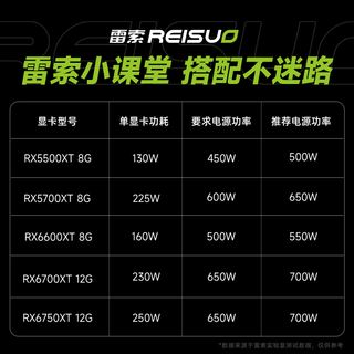  REISUO/雷索 高性能 独立显卡 全覆盖背板  12GB