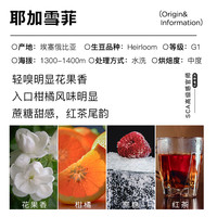 歌睿兹 V60耶加雪菲挂耳黑咖啡粉手冲 花果香调滤挂式新鲜120克