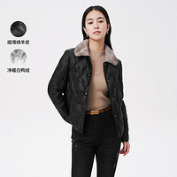 Koradior 珂莱蒂尔 女士时尚短款皮衣羽绒服