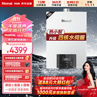 Rinnai 林内 零干扰系列 JSQ31-D06W 燃气热水器 16L