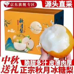 甜萌果蔬 山东秋月梨 新鲜水果冰糖梨当季新鲜水果礼盒中秋送人整箱 净重4.5-5斤精选普通装