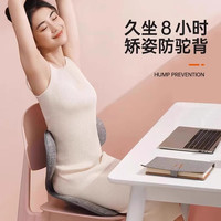 EALTH HOUSE 康乐屋 日本花瓣坐垫预防驼背办公室久坐美臀护腰座椅矫正坐姿靠背垫一体