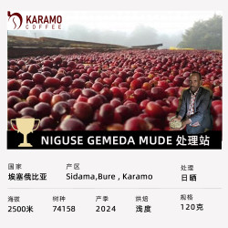 Outman Coffee 埃塞俄比亚 Karamo 日晒 74158 手冲咖啡豆120g