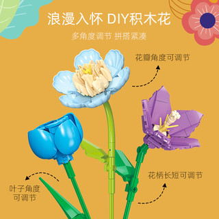 JIE－STAR 杰星 植物系列 JJ9092 雾都恋人