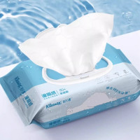Kleenex 舒洁 湿厕纸 200*133mm 80抽*1包