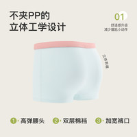 尼多熊 niduo bear2024儿童内裤女童纯棉平角内裤女孩中大童三角短裤宝宝裤头