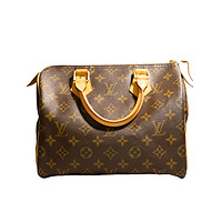 LOUIS VUITTON 路易威登 女士手提包 23032104x