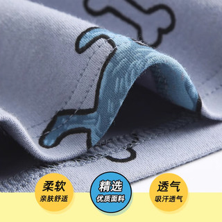 顶瓜瓜儿童秋衣秋裤套装纯棉男童棉毛衫保暖内衣女童全棉宝宝打底衣睡衣 灰卡通恐龙 160cm 身高150-160cm